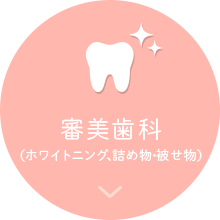 審美歯科 (ホワイトニング、詰め物・被せ物)